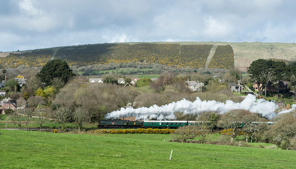 Purbeck Spring