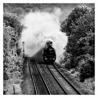Steam returns to Somerset