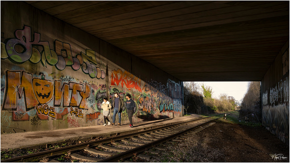 Beneath the Portbury Dock access road (2)
