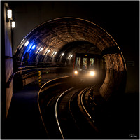 On the Curve at Island Gardens