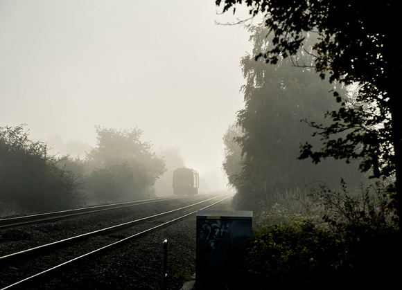 Into the Fog (2)
