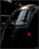 The Red Light