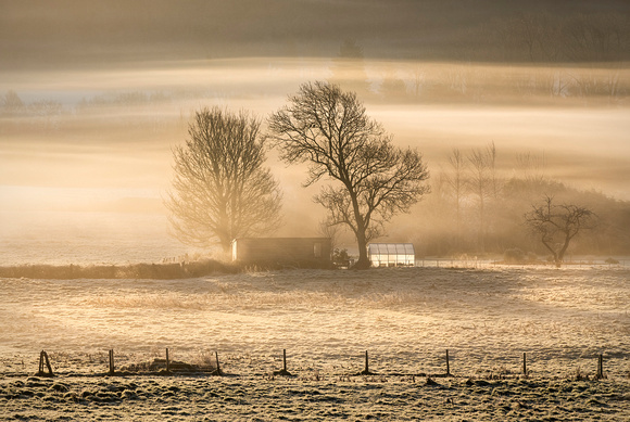 Morning Mist at Walton in Gordano