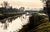 Late Autumn Light at Athelney
