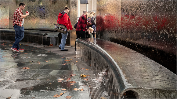 The Water Feature